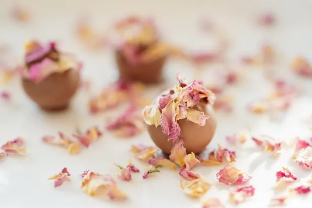 Pelican Kazino Android/iOS Lietotne